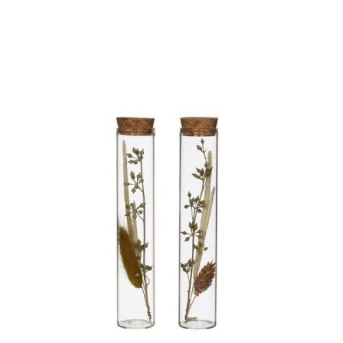 Glazen tubes met droogbloemen 2 stuks (15 cm)