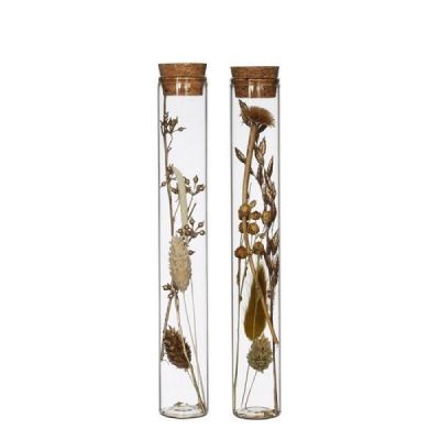 Glazen tubes met droogbloemen 2 stuks (20 cm)